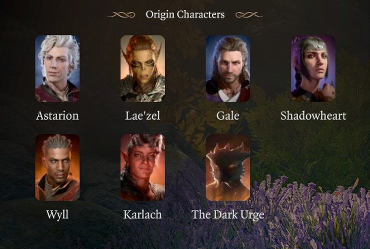 Baldur's Gate 3 Character