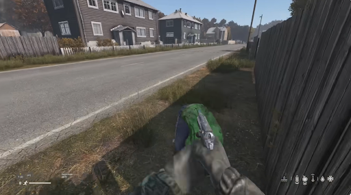 DayZ